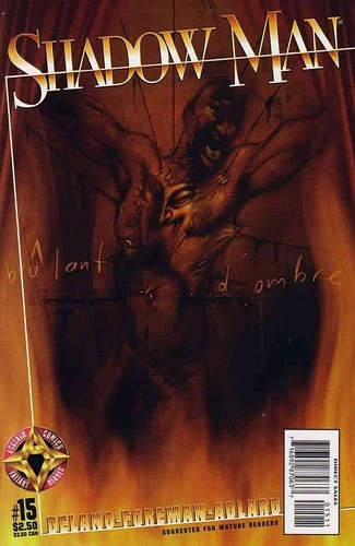 Shadowman (Vol. 2) #15 FN; Acclaim | Ashley Wood - we combine shipping