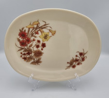 Oval Steak Dinner Plate Pyrex Harvest Spray Vintage Made in England 0ne Plate