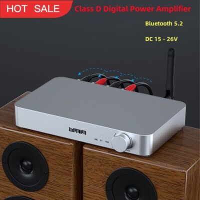 W510P Audio Stereo Class D Digital Power Amplifier MA12070 Dual Power supply #E5