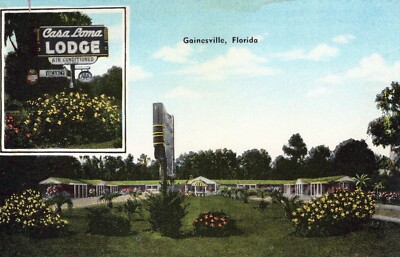 Casa Loma Lodge Gainesville Florida Air Conditioned Chrome Vintage Postcard