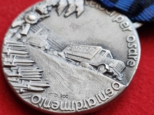 MEDAGLIA COLONIALE A.O.I. AFRICA ORIENTALE 115° FANTERIA MOTORIZZATO "TREVISO" - Foto 23 di 24