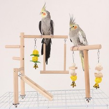 Parrot Bird Playground Playstand Parakeet Play Stand