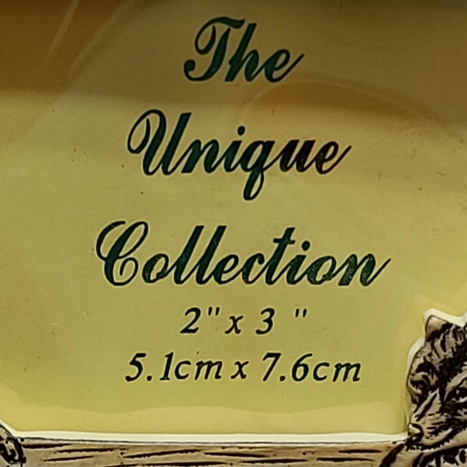 10 Wild America The Unique Collection Picture Frames 2"X3" Resin Bear Fish New! - Image 3 of 4