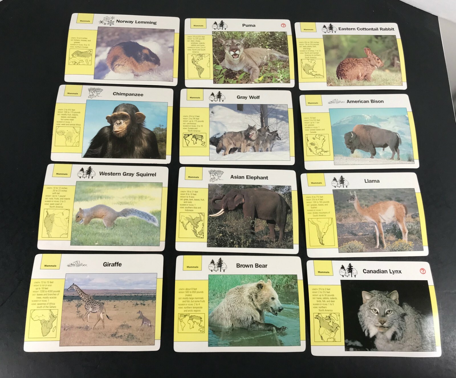 Lot of 80 WILDLIFE ADVENTURE EDUCATIONAL CARDS Grolier HOME SCHOOL Mammals  Birds | eBay