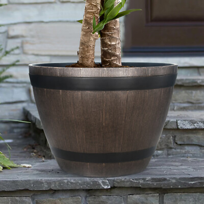 burgundy black cardinal philodendron Philodendron Black Cardinal Variegata L main image 1