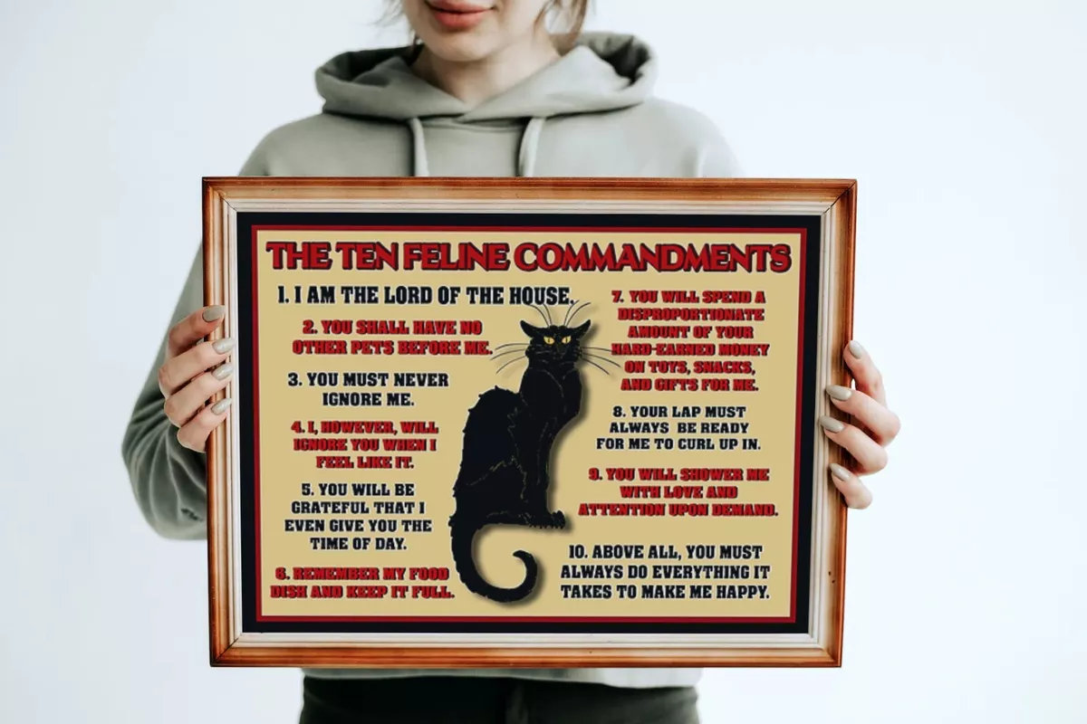 Like the kitty sales in the house