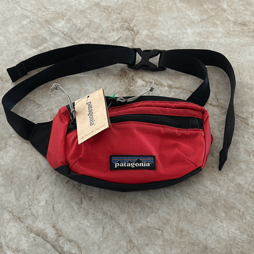 PATAGONIA Fanny Pack eBay