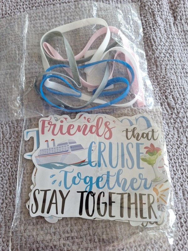 Cruise Bundle Magnets Friends Family Gift Cabin Door Pool Vacation Towel Holder