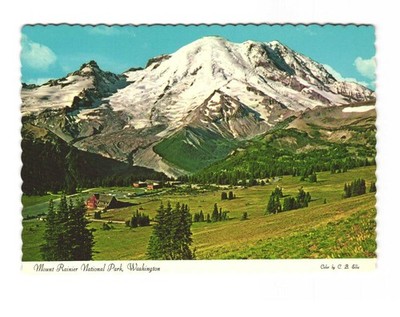 Mount Rainier National Park Washington Vintage Postcard Unposted 
