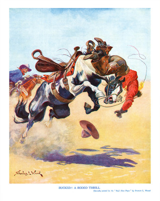Bucked Rodeo Cowboy Poster Western Pferd Bucking Kunst - 12X16/16X20/18X24/24X36