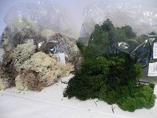Finland Reindeer Moss 500g Natural Treated Assorted Colours Floral Crafts
