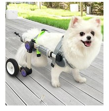 Dog Wheelchair For Back Legs For A Small Dog