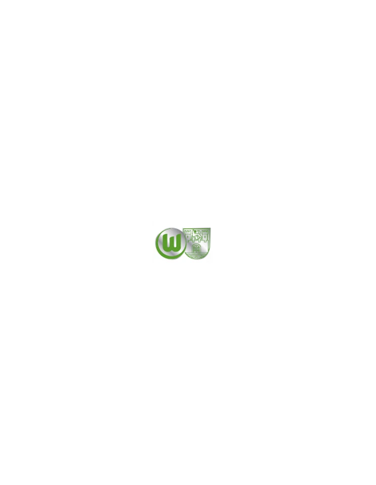 VFL Wolfsburg Pin Logo Stadtwappen - Bild 1 von 1