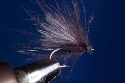 Fliegentom Trockenfliege - 3 Stück Schwarze CDC Mücke
