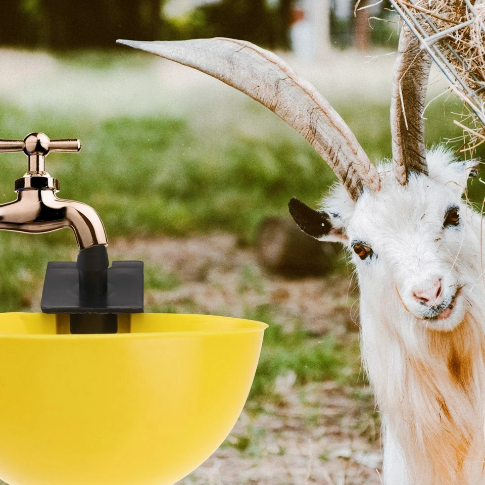  15 Pcs Futtertrog Hühner Hühner Futterautomat Wasserschale Futtermittelschale - Bild 4 von 4