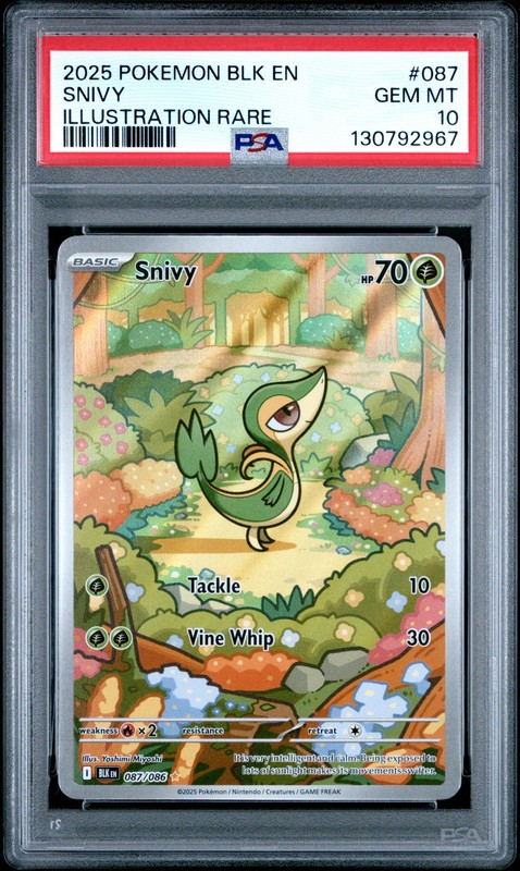 Snivy 087/086 PSA 10 Illustration Rare Black Bolt Pokemon English