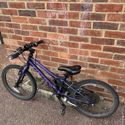 Carrera Saruna Junior Hybrid Bike 20