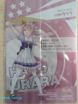 Collective Wafers Cards Uma Musume -Haru Urara- Trading Card