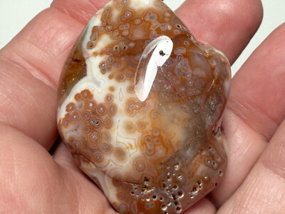 2.0 oz Michigan Minnesota Lake Superior Agate LSA #18 EYES BANDS (polished