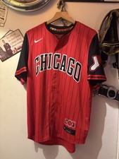Men's Nike 2025 Official MLB Chicago City Connect White Sox Bulls DRI-FIT Jersey