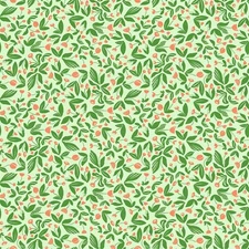 Windham Fabrics - Summersault - Barefoot - Mint