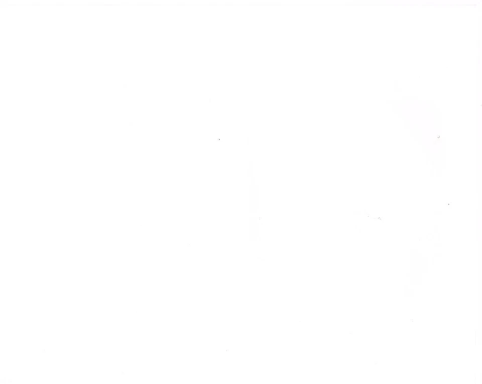 Original Autograph PSA/DNA of Art Donovan of the Balt. Colts 8x10 combo shot, #3 - Image 2 of 2