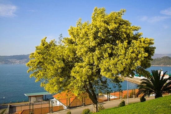 Foto 3 di 6