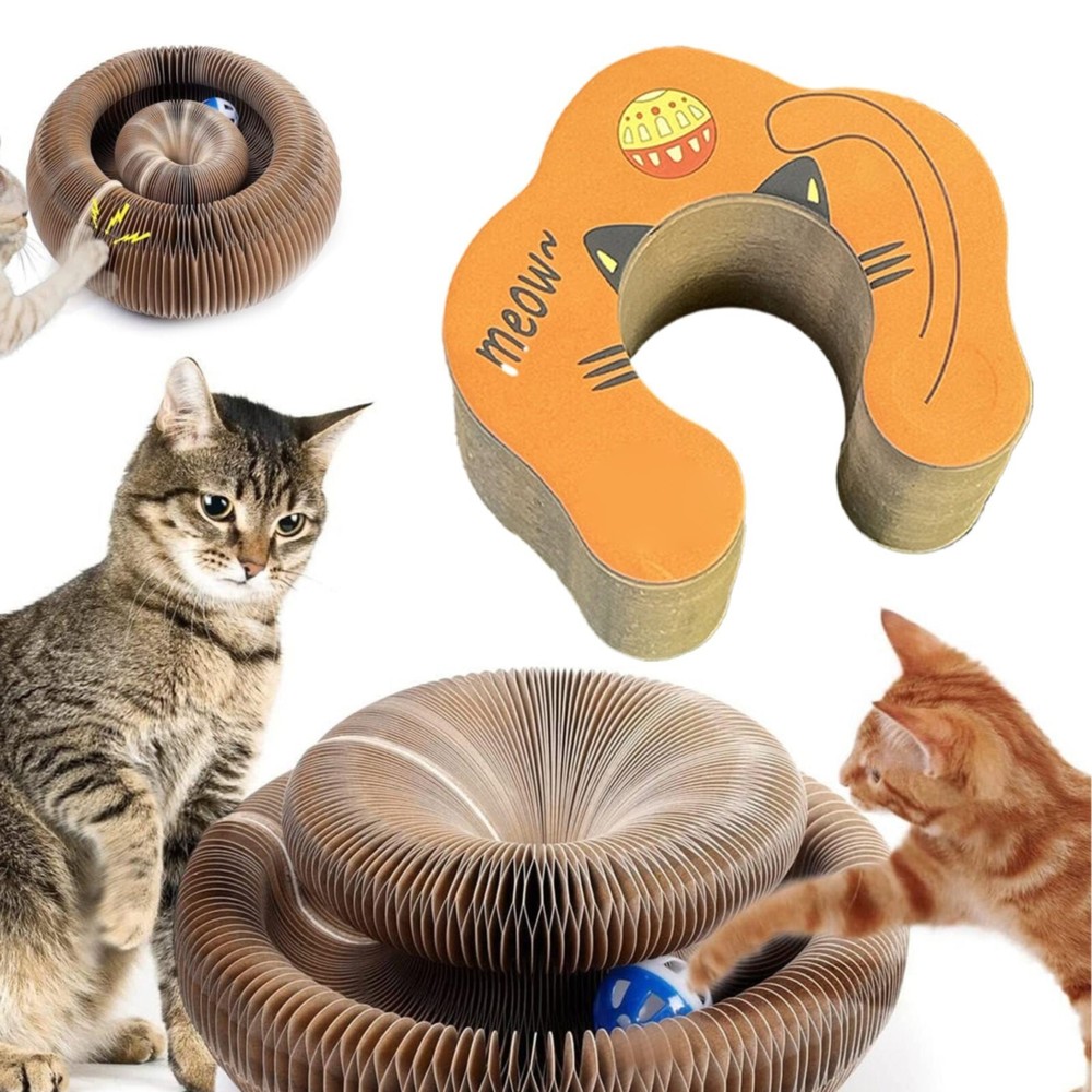 Magic Organ Cat Scratching Toy with Kitty Curls  