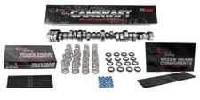 Brian Tooley Racing Btr Stage 2 Camshaft Kit For 2009 Dodge 5.7 Hemi Vvt