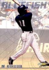 Tarjeta Bridgeport Bluefish Choice #18 20…