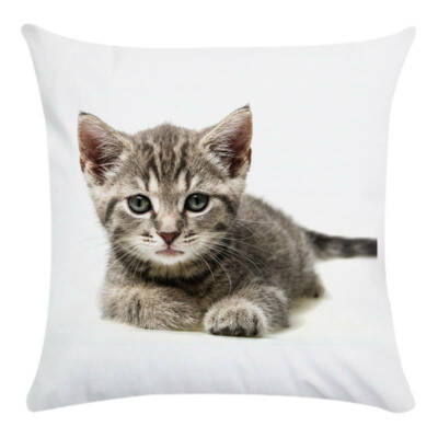 Kissenbezug Kissenbezug Katze Kätzchen 45x45 cm 