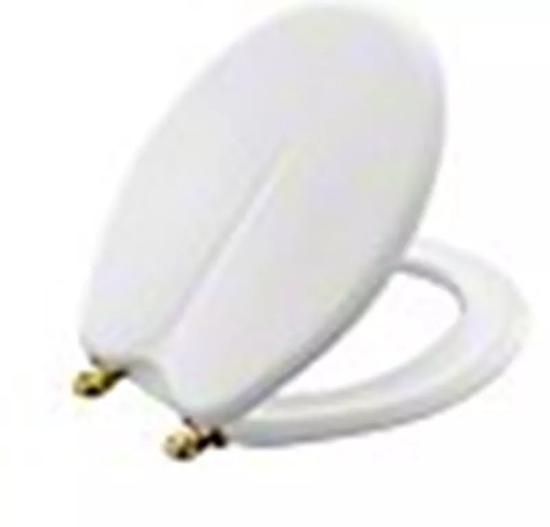 Kohler Fleur Replacement Toilet Seat White with Brass Hinges 5 1 2 4617