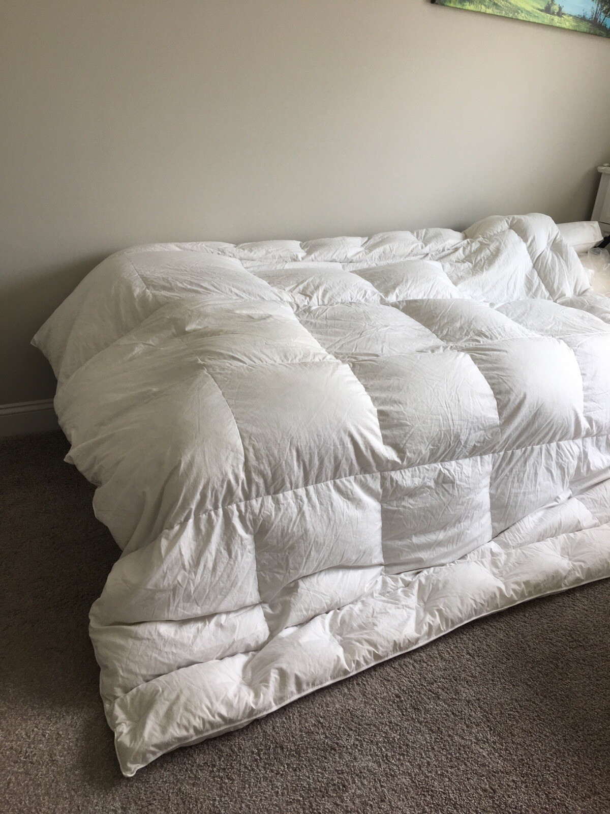 pacific comforter