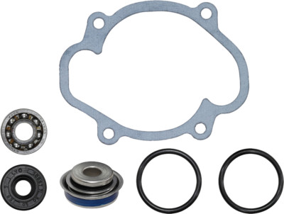 SP1 2022 Summit Edge 850 E-TEC 154'' 3.0 Ski-Doo WATER PUMP REPAIR KIT S-D SM-101
