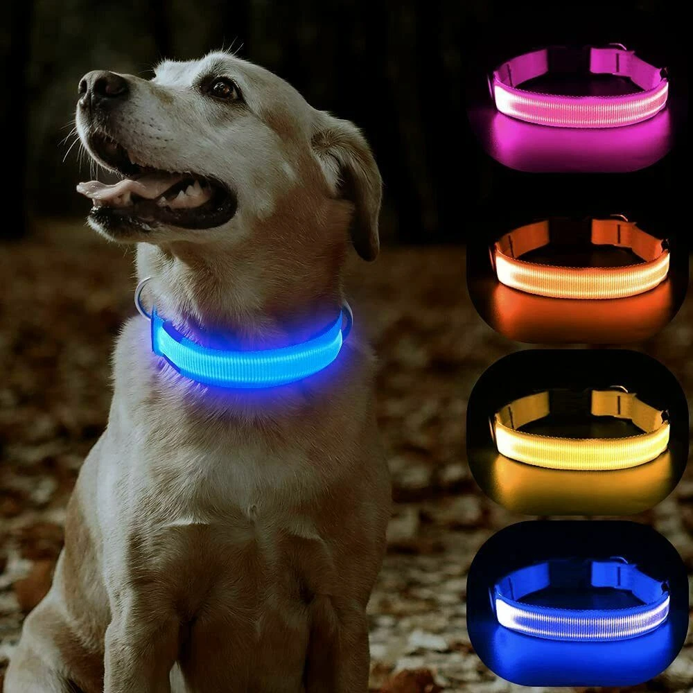 Timprove store dog collar