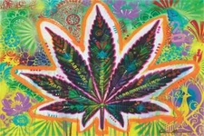 Psychedelic Leaf by Dean Russo Poster 36" x 24"