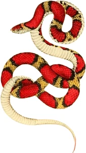 Snake Self Adhesive Vinyl Sticker