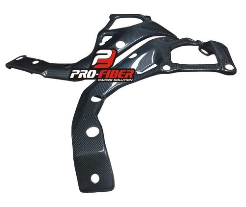 2014-2015-2016 cubiertas de marco de carbono protectores protectores BMW S1000 R S 1000 R - Imagen 3 de 5