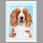 6 Welsh Springer Spaniel Dog Blank Art Note Greeting Cards