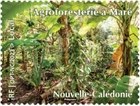 caledonia 2023 caledonie Agroforestry in Maré forest trees forestry nature 1 mnh