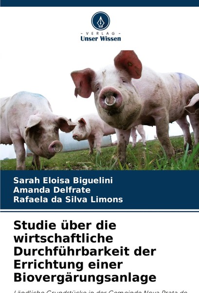 Studie üBer Die Wirtschaftliche DurchfüHrbarkeit Der Errichtung Einer...-image