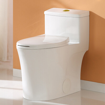 HOROW T0338WG One Piece Toilet with Gold Button,Elongated ADA Chair Height 17.3''