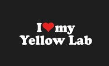 I Love My Yellow Lab Sticker Vinyl Decal Car Window Fun Labrador Dog puppy