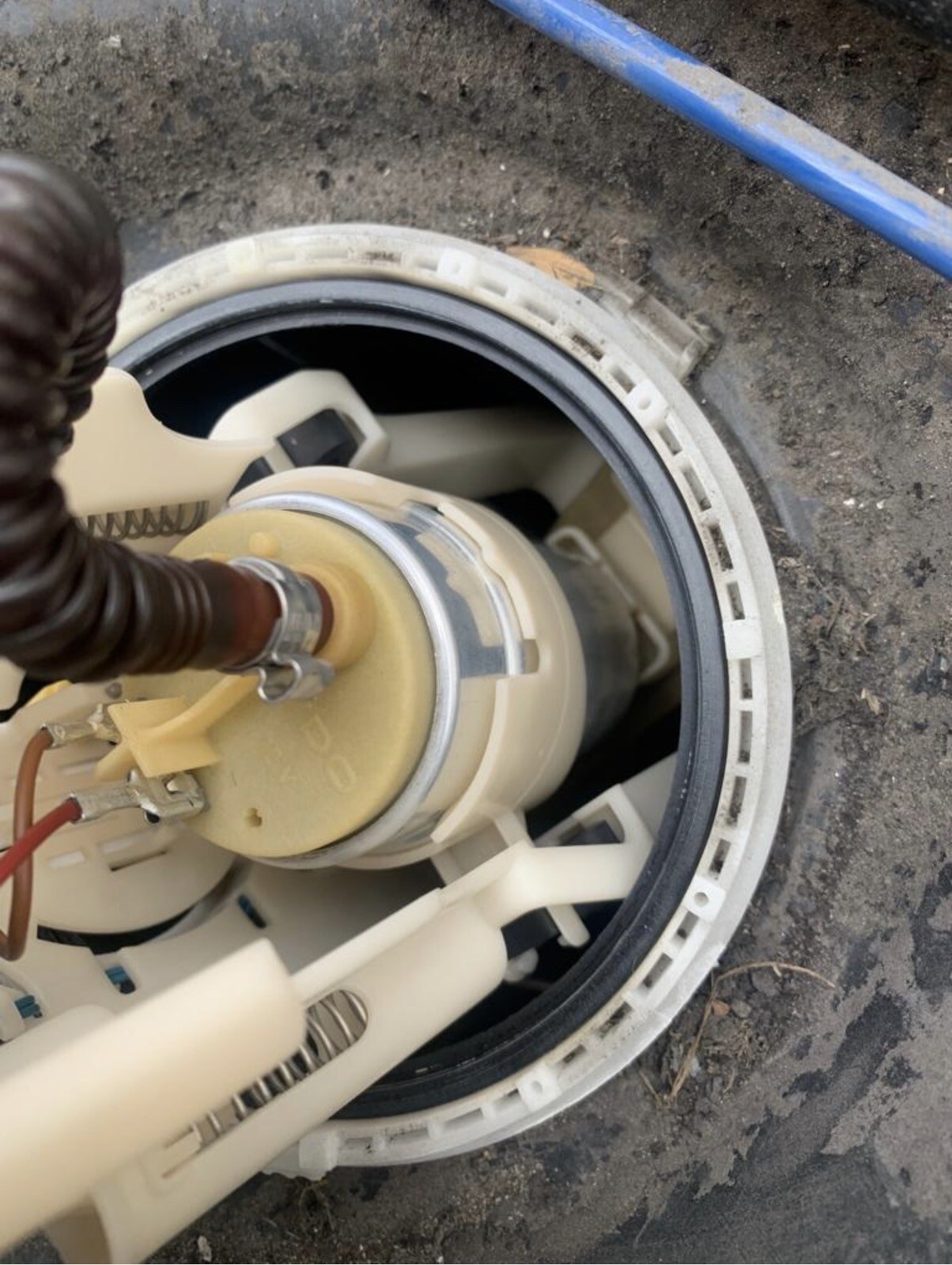 BMW E46 Fuel Tank (petrol). All Models Except M3. Fuel Pump & Sender eBay