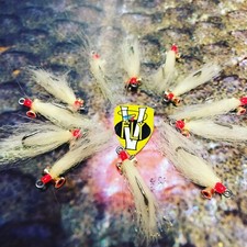 3 V Fly Size 6 Special Pearl Christmas Islands Bonefish Shrimp Saltwater Flies