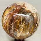 Natural Petrified Wood Polished Stone Quartz Crystal Sphere Ball Healing 1800G — photo 3