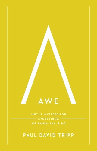 Awe by Paul David Tripp - 9781433597558