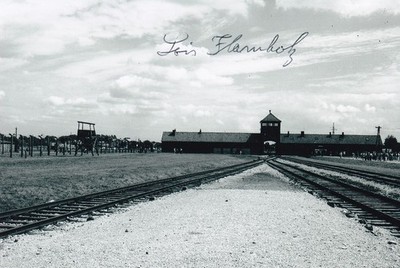 Lois Flamholz Signed Autograph 4x6 Photo Holocaust Survivor Auschwitz Birkenau