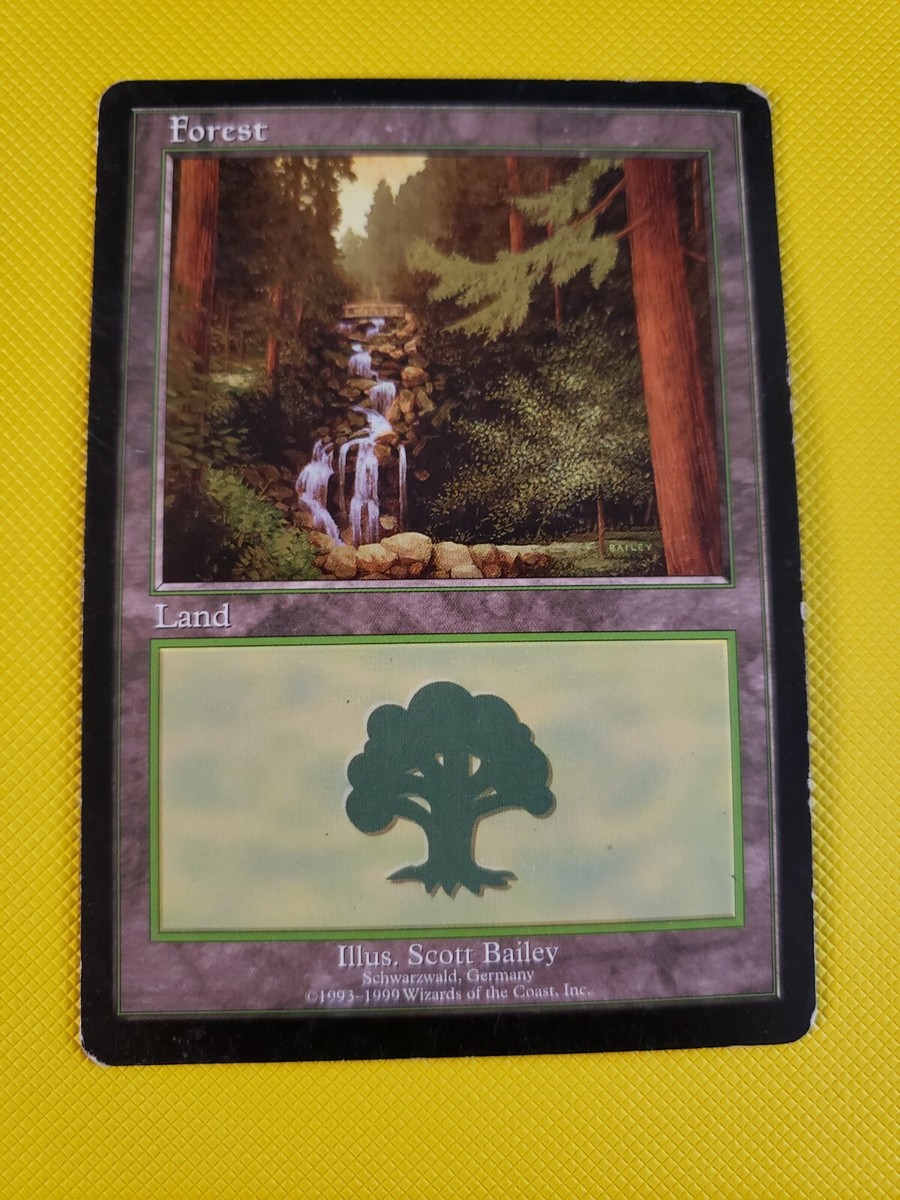 MTG: Magic European Lands - Forest (Schwarzwald) | eBay
