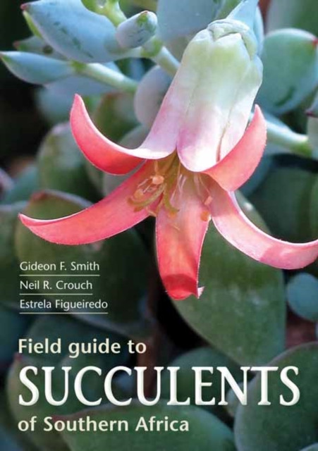 Field Guide to Succulents of Southern Africa by Gideon Smith (Paperback Book)